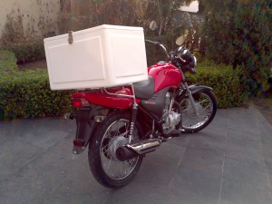 Caja de Fibra de Vidrio para Moto de 64x41x40